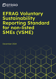 directive omnibus csrd
vsme efrag