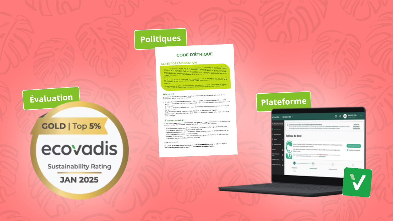 formation rse en ligne rupture académie formation reussir son evaluation ecovadis